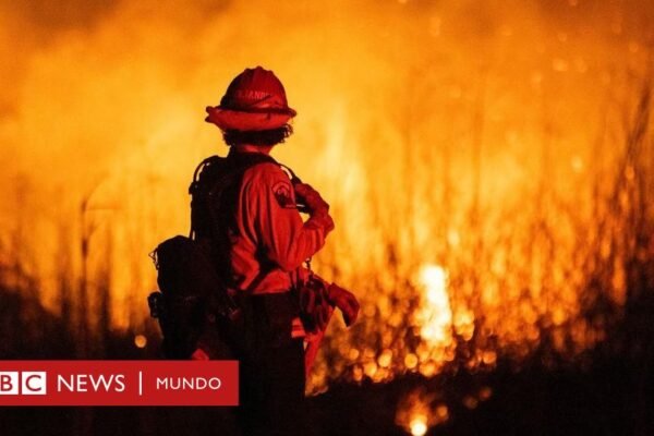 La desesperada carrera por salvar décadas de datos sobre el cambio climático y el clima extremo que están siendo borrados por el gobierno de Trump