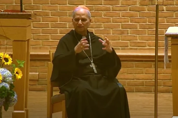 Pope Leo XIV on the Eucharistic congress, Pope Francis, and synodality