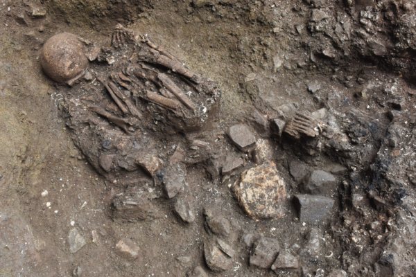 Newly discovered ‘ghost’ lineage linked to ancient mystery population in Tibet, DNA study finds