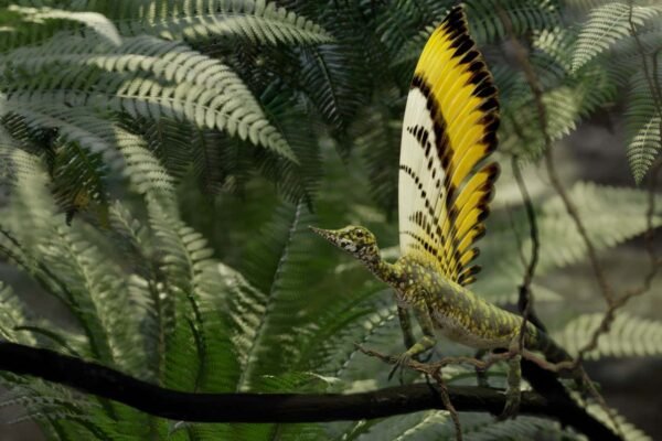 Spectacular Triassic reptile had an early kind of feathers
