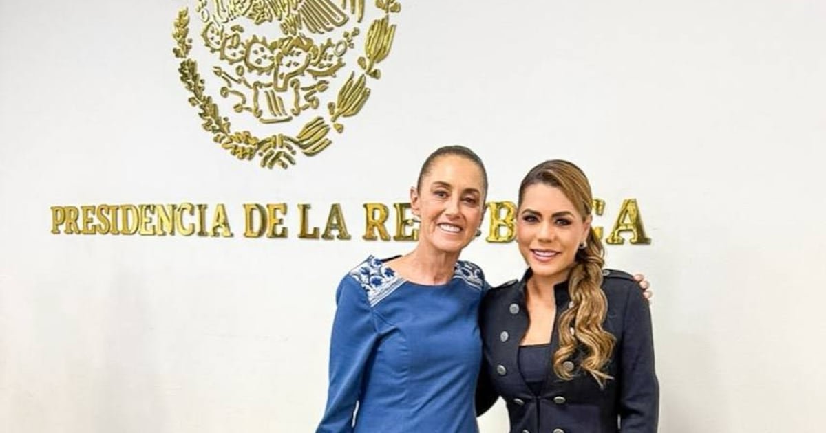 Evelyn Salgado asiste a la sesión del Gabinete de Seguridad Federal en Palacio Nacional – El Financiero